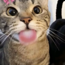 sillyrocksinabox avatar