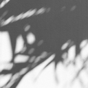 sillytheoristtaco-blog avatar