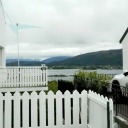 sillytravelerlady avatar