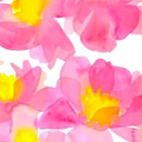 sillywhitebitch avatar