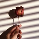 silv3reyedstranger avatar