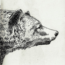 silver-afternoons avatar