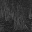 silver-decanter avatar