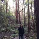 silver-fields avatar