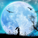 silver-lullaby6833 avatar