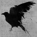 silver-night-shadows avatar