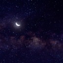 silver-stargarden avatar