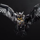 silver-winged-owl avatar