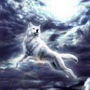 silver-wolf-karma avatar