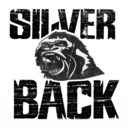silverbackmusic avatar
