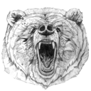 silverbear-silvercross-995 avatar