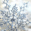 silvercadences avatar