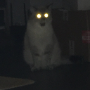 silverclaw00 avatar