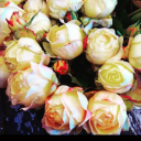 silveredsticks avatar