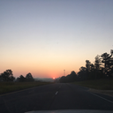 silverfacedherald avatar