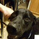 silverflame137 avatar