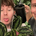 silverfoxphil avatar