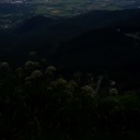 silverishdust avatar