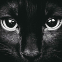 silverlining003 avatar