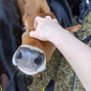 silverliningsandshit avatar