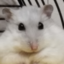 silvermice avatar