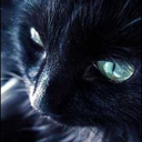 silvermist-moon avatar