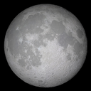 silvermoon-belf avatar