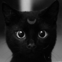 silvernwolvesbane avatar