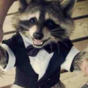 silverraccbruff avatar