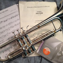 silverraindown avatar