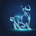 silverrose444 avatar