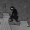 silverseapunk avatar