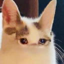 silverspadesss avatar