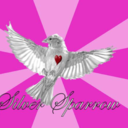 silversparrow41 avatar