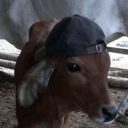 silversteelnstone avatar