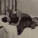 silverstitches avatar