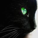 silverstream33 avatar