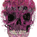 silverstudsandsparkles-blog avatar