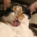 silversunjournal avatar