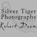 silvertigerphotography avatar