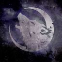 silverwolf-0313 avatar