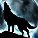 silverwolf319 avatar