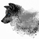 silverwolf3432 avatar