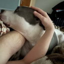 silverwolftales avatar