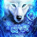 silverwolfxlt avatar