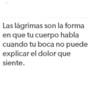 silviaoalarcon avatar