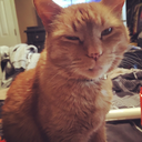 simbastitches avatar