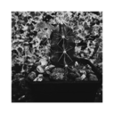 simeencuentrasdimelo avatar