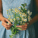 simerenyasimerenya avatar