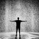 simon-the-fat-cat avatar